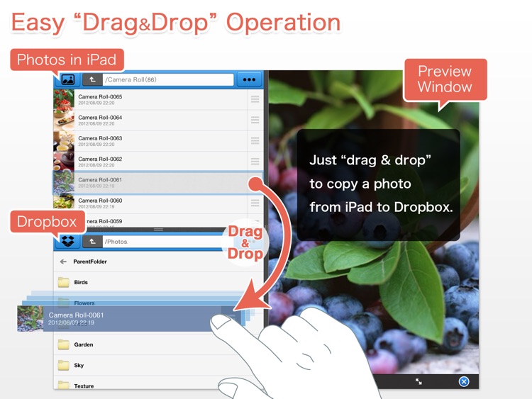 BoxCrane for iPad - FileCrane for Dropbox