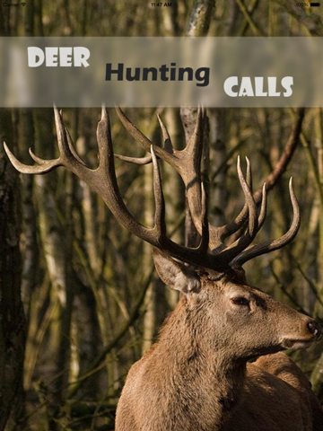 Screenshot #4 pour Easy Deer Hunting Calls: Sound