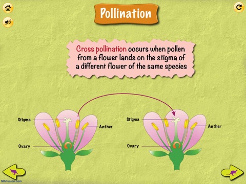 Science 4 Kids - Volume # 1 to learn and practice screenshot 2