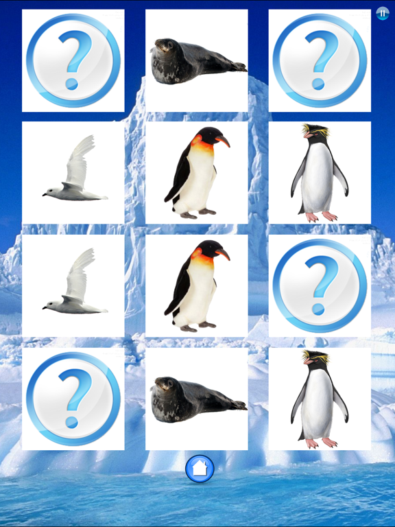 Animals Antarctica iPad screenshot