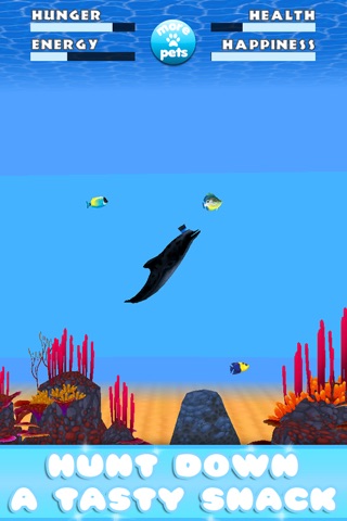 Virtual Pet Dolphin screenshot 4