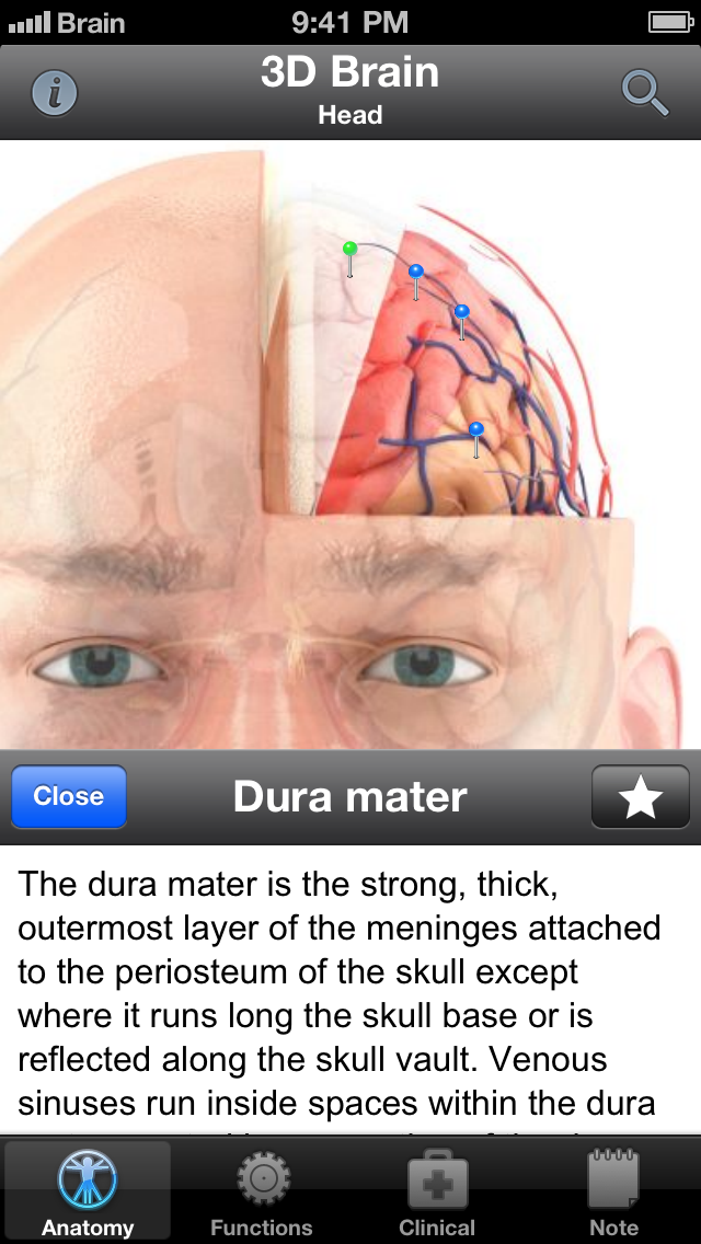 Screenshot #2 pour Pocket Brain - Neuroanatomie Intéractive