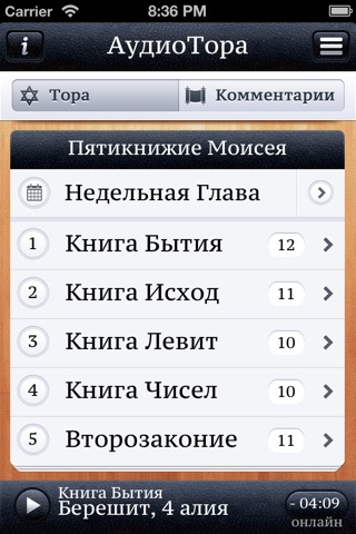 АудиоТора screenshot 2