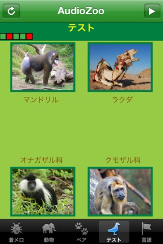 AudioZoo: Animal Sounds screenshot 3