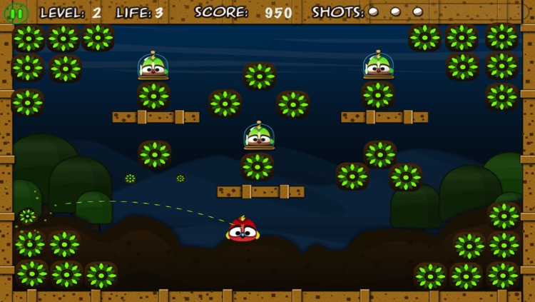 Birdy Bounce.