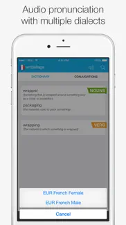 french — english dictionary айфон картинки 4