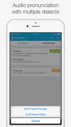 French — English Dictionary iPhone image 4