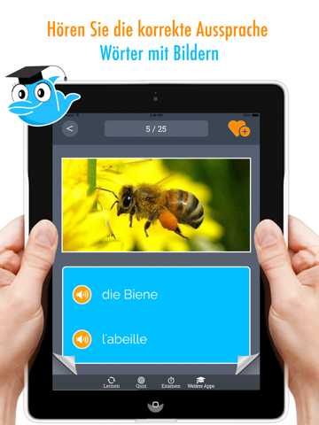 Learn German and French: Memorize Words - Freeのおすすめ画像1