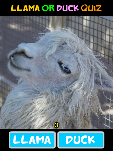 Screenshot #4 pour Llama or Duck