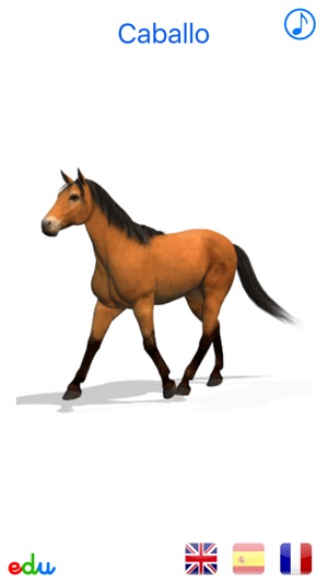Animals Animated Multilingual - Free(圖5)-速報App