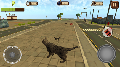 A Catty Cat World screenshot 5