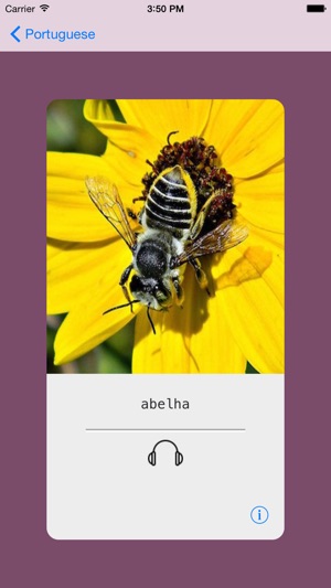 Learning Portuguese (Brazilian) Basic 400 Words(圖5)-速報App