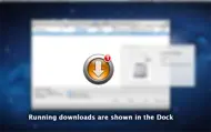 DownloadMaster iphone bilder 1