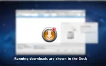 DownloadMaster iPhone image 2