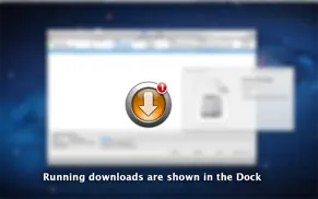 downloadmaster iPhone Captures Décran 2