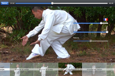 Tai Chi Yang screenshot 2