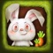 Rascally Rabbit - Garden Maze Madness