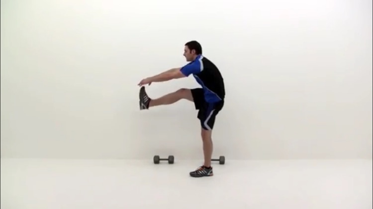 All In Fitness Workouts screenshot-3