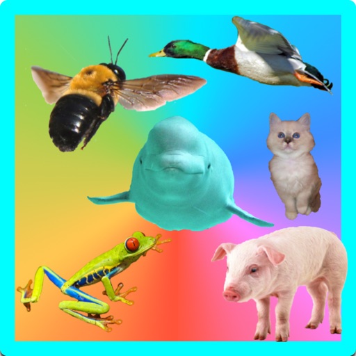 Les Animaux Se Baladent ! iOS App