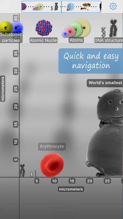 Universal Zoom: All About Sizes and Distances screenshot-3