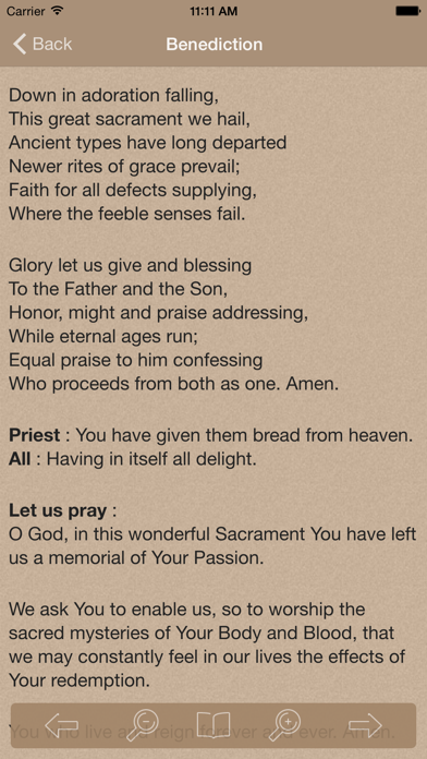 Novena to Our Lady of Perpetual Help Screenshot