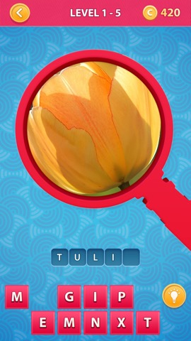 Zoom Pics - close up zoomed images and guess words trivia quiz gameのおすすめ画像2