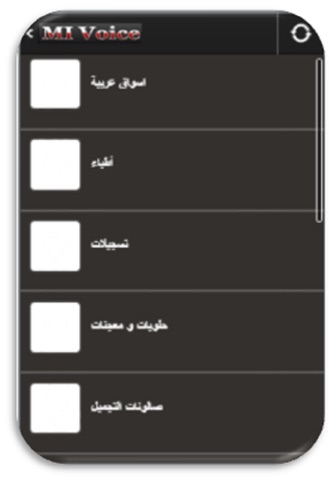 MI Voice screenshot 2