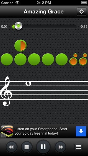 Flute Melodies