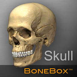 BoneBox™ - Skull Viewer