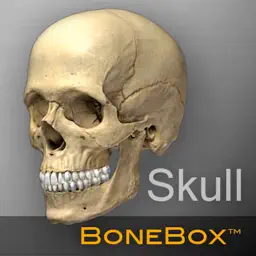BoneBox™ - Skull Viewer app icon