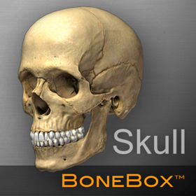 螢幕擷取畫面 (5) BoneBox™ - Skull Viewer for Mac OS X