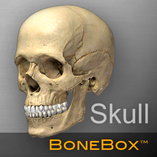 BoneBox™ - Skull Viewer app icon