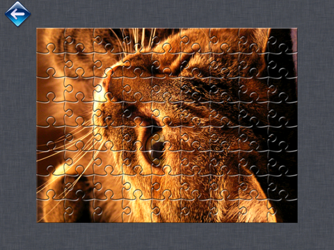 JigsawPuzzle+ screenshot 4