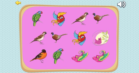 Improve Your Kids Brain With Matches Bird Cardsのおすすめ画像2