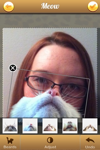Cat Bearding - The Hilarious Face Beard Selfie App! screenshot 4