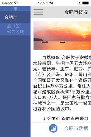 数据合肥 screenshot 2