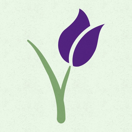BloomNet Essentials
