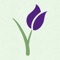 Your new BloomNet Expression of Flowers – Essentials Selection guide for the iPad is the perfect marketing tool to help grow your retail sales