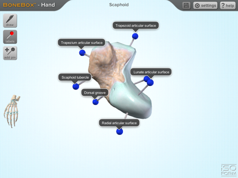 BoneBox™ - Hand Viewer screenshot 4