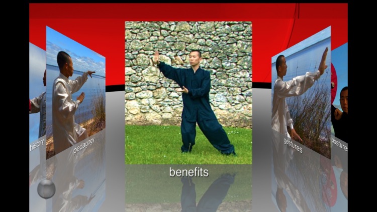 Tai Chi Yang