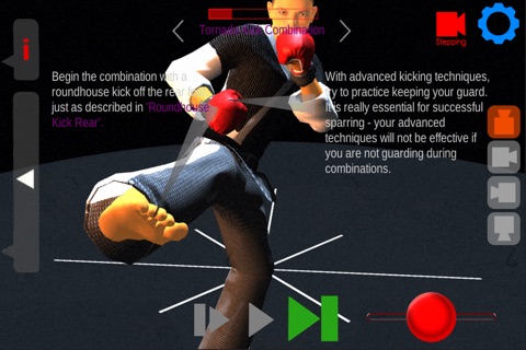 Karate Edge Sparring screenshot 2