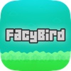 Facy Bird