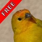Top 29 Entertainment Apps Like Bird Sounds FREE - Best Alternatives
