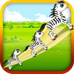 Baby Zebra Zoom - Race the Tiny Zebra in Zoo Forest