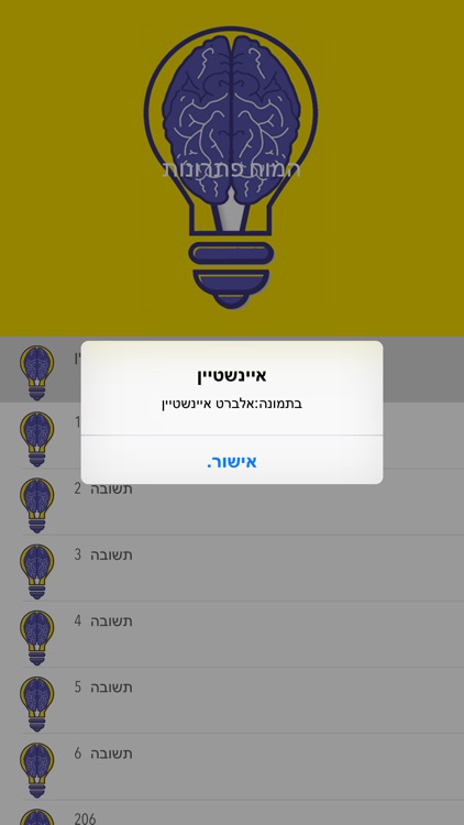 המוח פתרונות