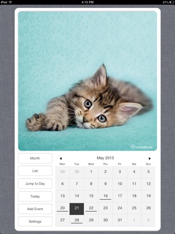 CuteCal for iPad screenshot 2