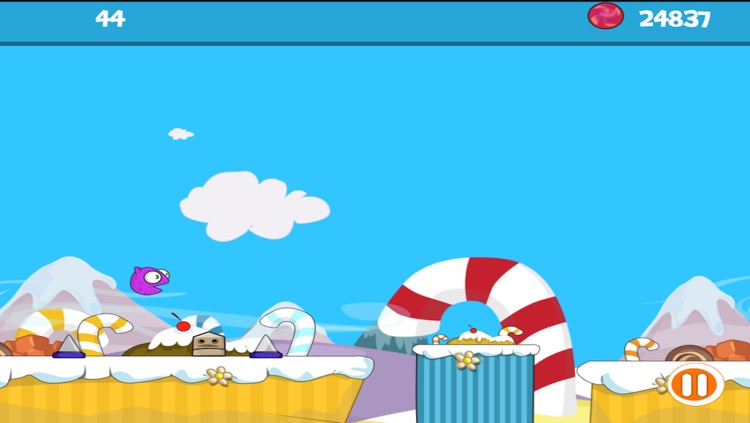 Candy and Cupcake Sweet Sugar Rush