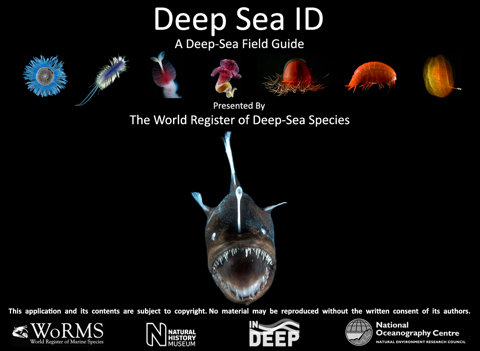 Screenshot #4 pour Deep Sea ID