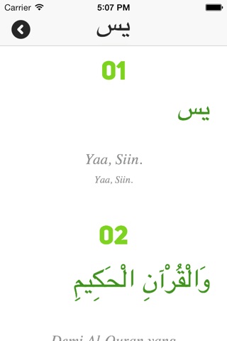 Yasin - Heart of the Qur'an screenshot 3