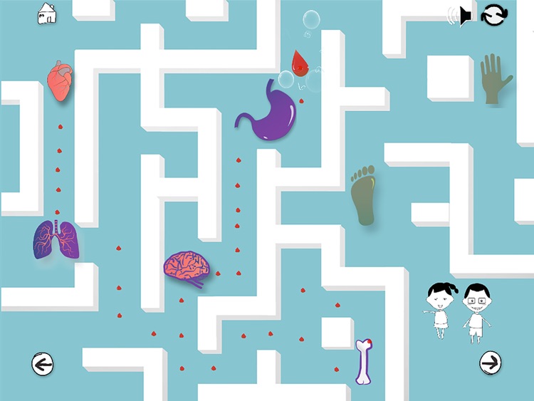 How the Heart Works screenshot-4